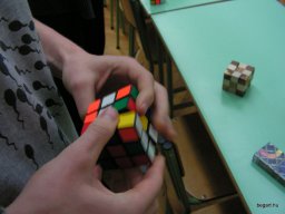 Matematika-informatika napok