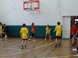 2010 12 órás kosár