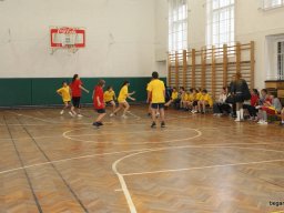 2010 12 órás kosár