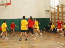 2010 12 órás kosár