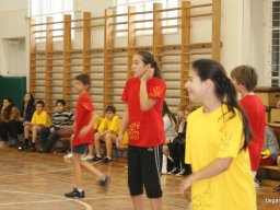 2010 12 órás kosár