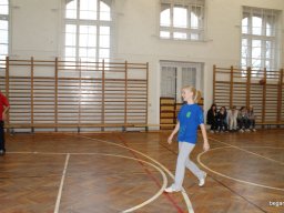 2010 12 órás kosár