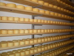 2010 Legek kirándulása