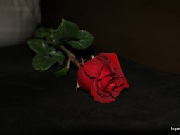 2009/2010 tanév utolsó áhitata