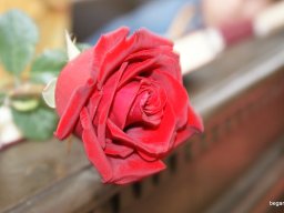 2009/2010 tanév utolsó áhitata