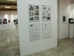 Pátkai kiállítás enteriőr