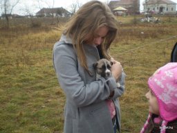 Mikulás ment Békésről Bélfenyérre