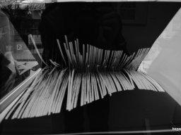 Kiállításmegnyitó a Jankay Galériában