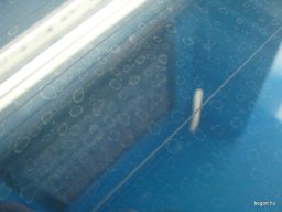 Látogatás a Paksi atomerőműben