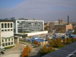 Sztehlo Gábor Ösztöndíj