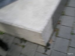 Sztehlo Gábor Ösztöndíj