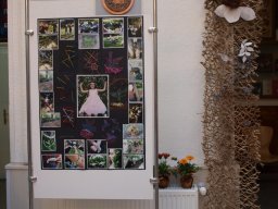 Alkotó és tanító képzőművészek