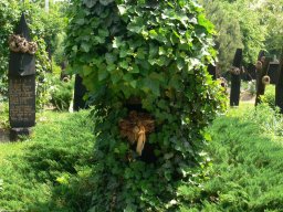 Kárpátalján jártunk