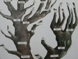 Kárpátalján jártunk