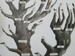 Kárpátalján jártunk