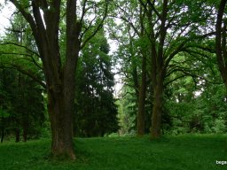 Kárpátalján jártunk