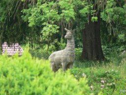 Kárpátalján jártunk