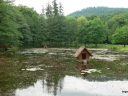 Kárpátalján jártunk