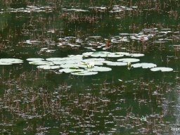 Kárpátalján jártunk