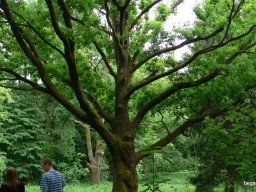 Kárpátalján jártunk