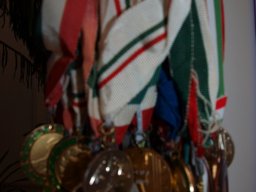 100 éves a Békéscsabai Előre