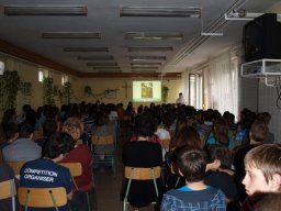 Csendes nap alsó évfolyam