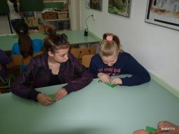 Csendes nap alsó évfolyam