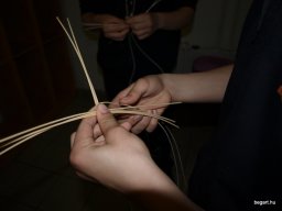 Csendes nap alsó évfolyam