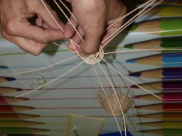 Csendes nap alsó évfolyam