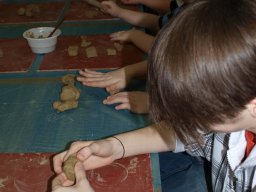 Csendes nap alsó évfolyam