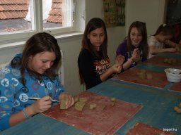 Csendes nap alsó évfolyam