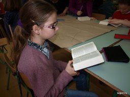 Csendes nap alsó évfolyam