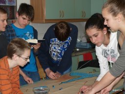 Csendes nap alsó évfolyam