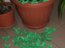 Csendes nap alsó évfolyam