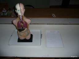 Komplex TTK vetélkedő 2012