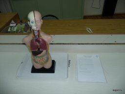 Komplex TTK vetélkedő 2012