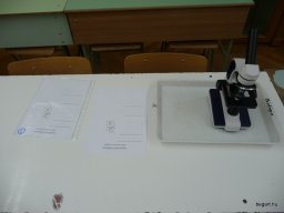 Komplex TTK vetélkedő 2012