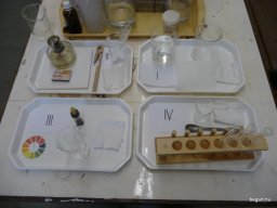 Komplex TTK vetélkedő 2012