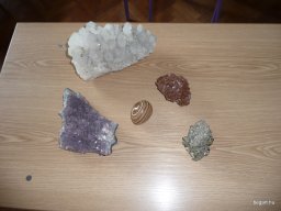 Komplex TTK vetélkedő 2012