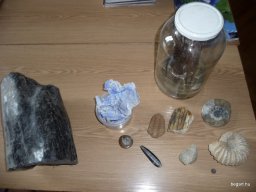 Komplex TTK vetélkedő 2012