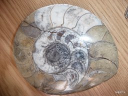 Komplex TTK vetélkedő 2012