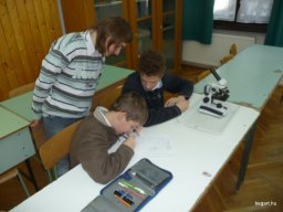 Komplex TTK vetélkedő 2012