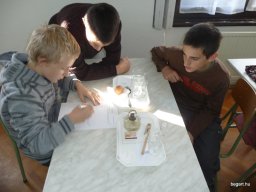 Komplex TTK vetélkedő 2012