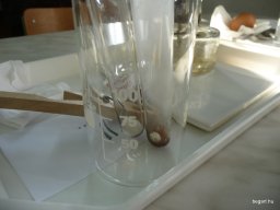 Komplex TTK vetélkedő 2012