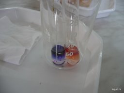 Komplex TTK vetélkedő 2012