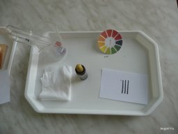 Komplex TTK vetélkedő 2012