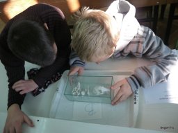 Komplex TTK vetélkedő 2012