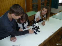 Komplex TTK vetélkedő 2012