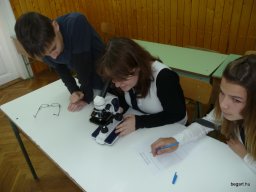 Komplex TTK vetélkedő 2012