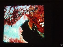 Wigner Jenő Országos Fizikai Feladatmegoldó Verseny